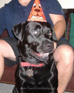Bear is 9!!!